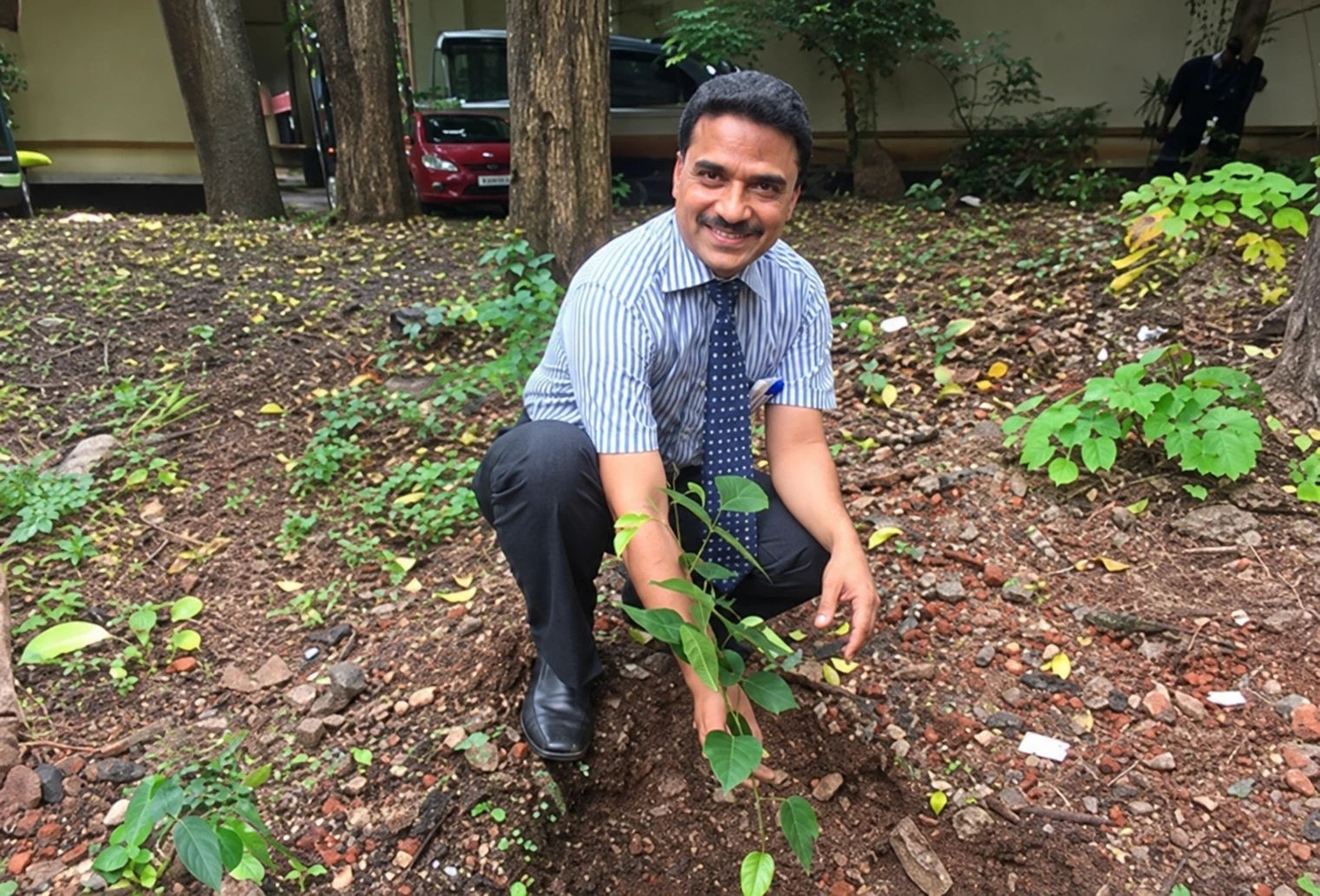 Plantation drive