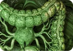 Colorectal-disorders